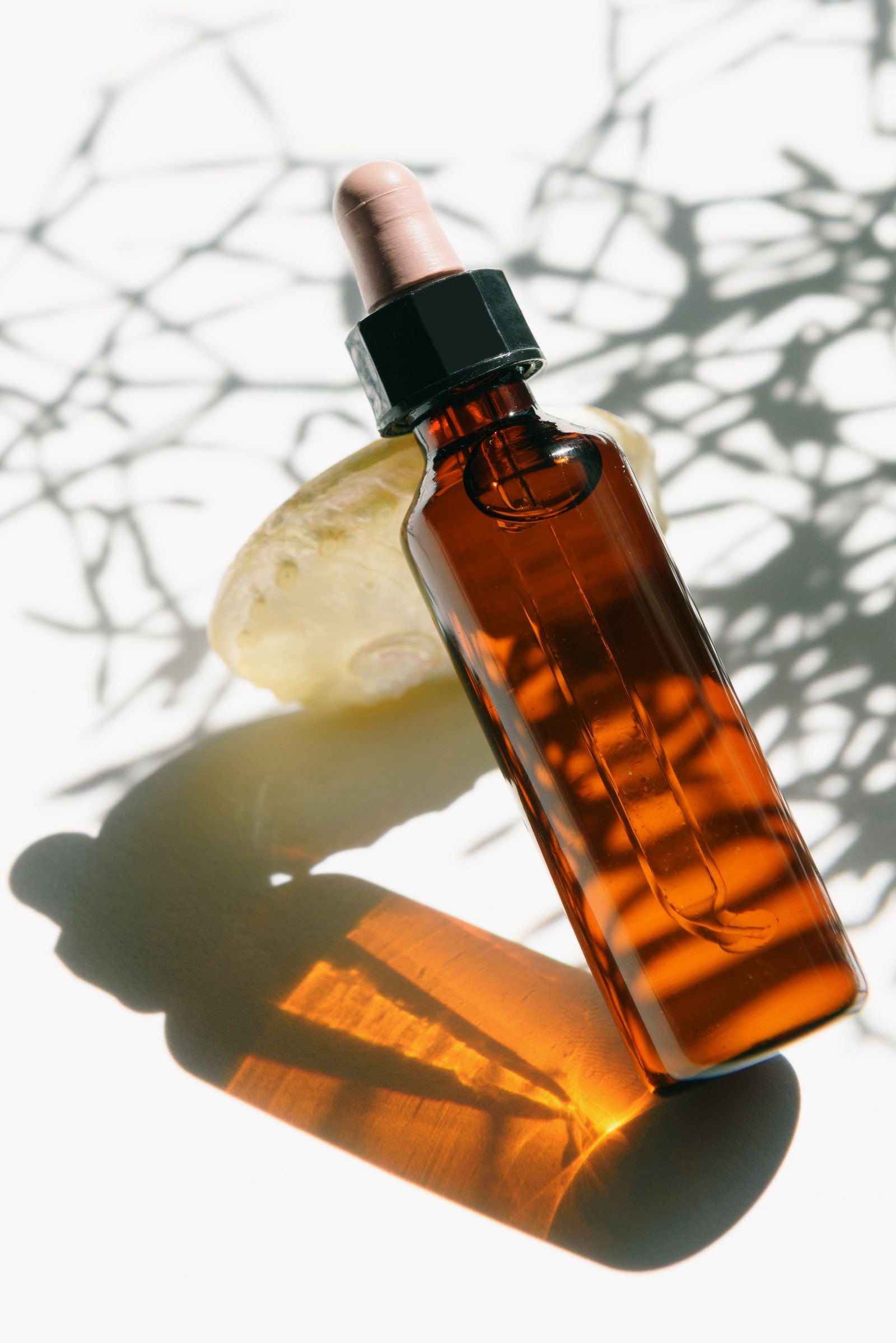 Bernsteinfarbene Glasflasche mit Pipette an einem hellen Stein, hartes Sonnenlicht und Zweigschatten auf weißem Grund