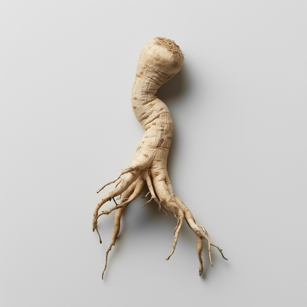 Panax Ginseng